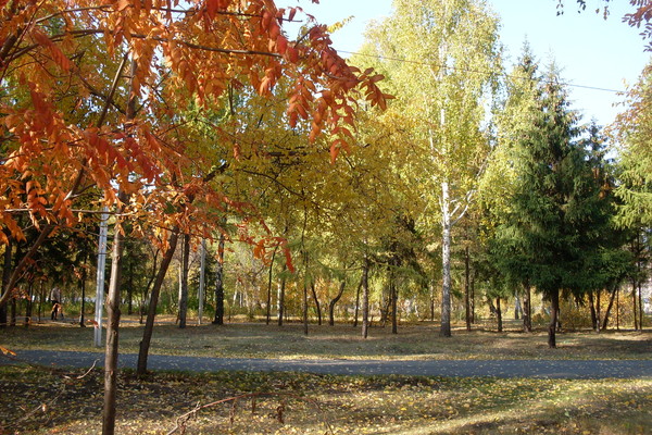 Осенний парк